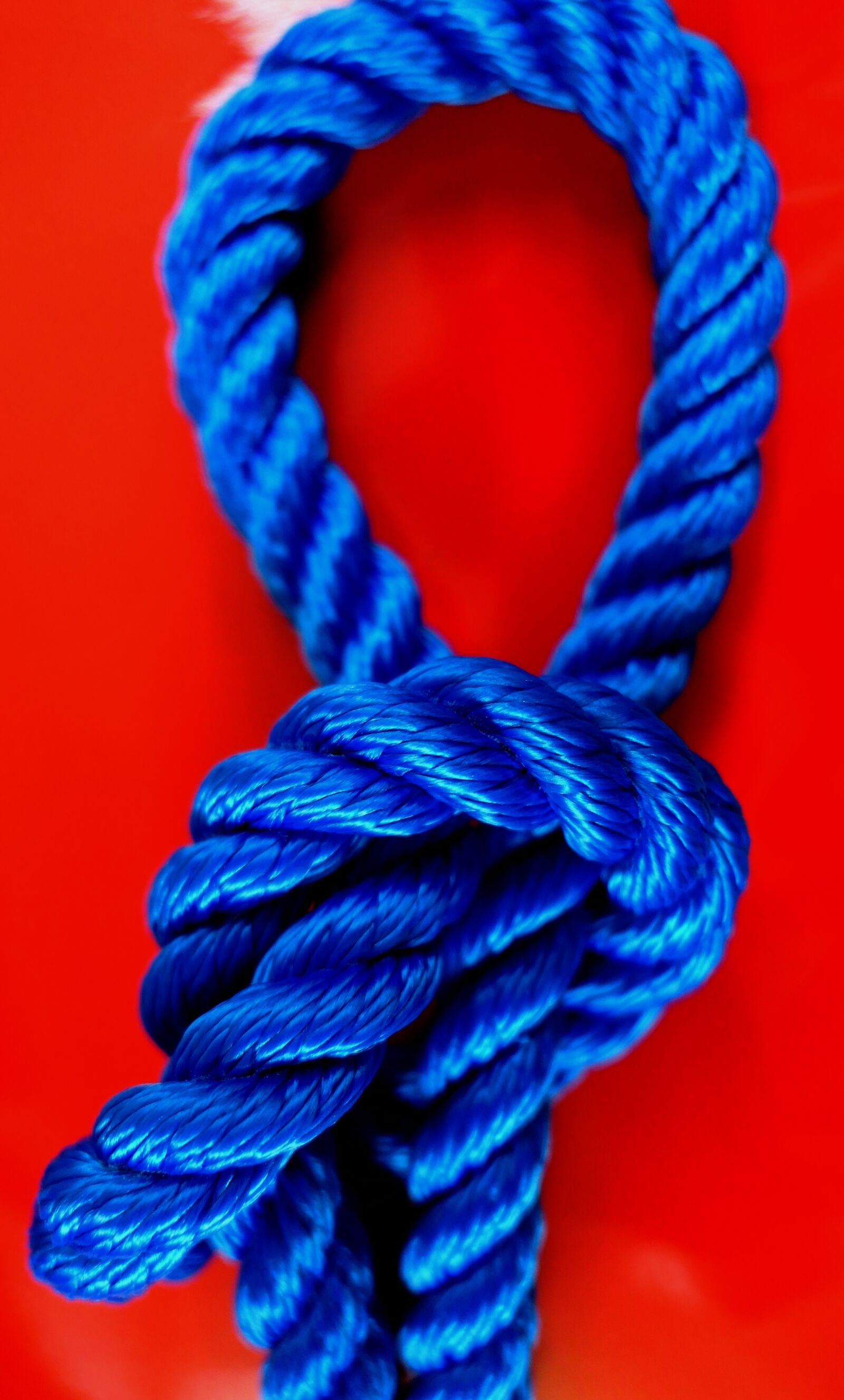 Panasonic Lumix DMC-LX10 (Lumix DMC-LX15) sample photo. Knot, fixing, containing photography