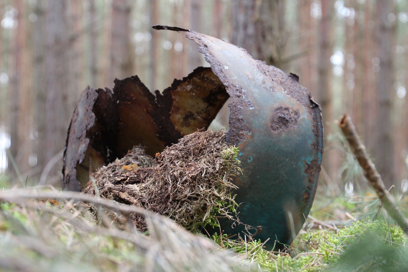 Canon EOS 650D (EOS Rebel T4i / EOS Kiss X6i) sample photo. Bucket, rust, forest photography