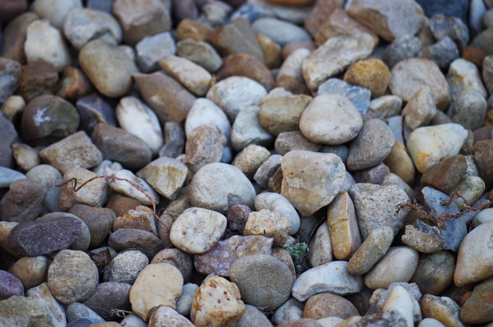 Pentax K-500 sample photo. Stones, rocks, creek photography