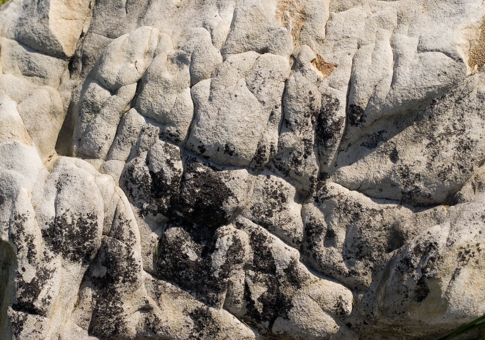 Sony Alpha DSLR-A100 sample photo. Background, rock, stone photography