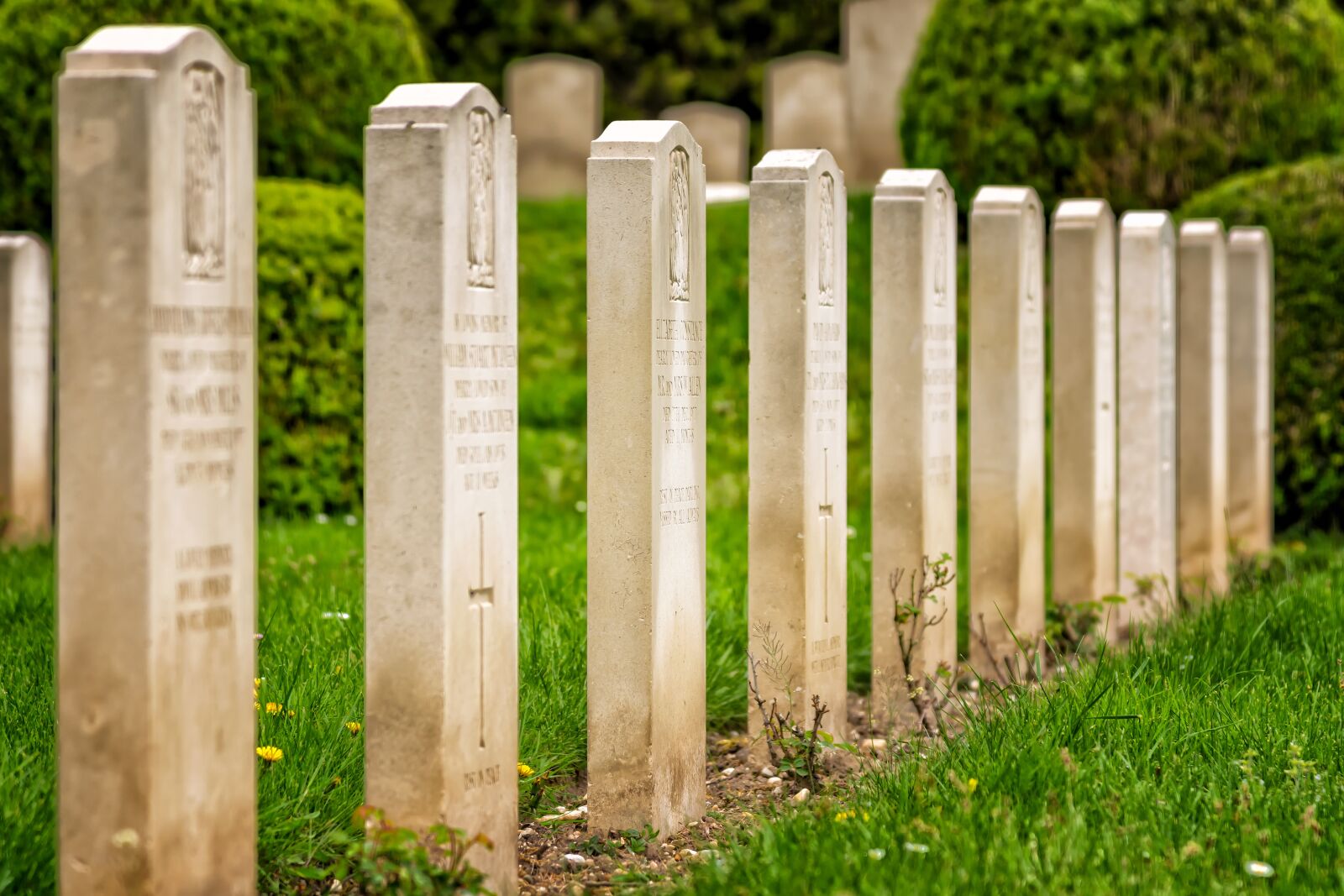 Nikon D3300 sample photo. Cemetery, military, graves photography