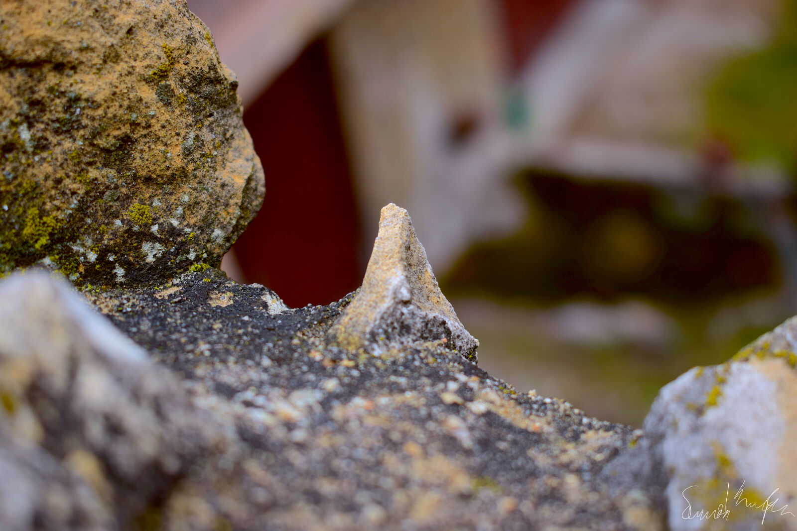 Nikon D3300 sample photo. Nature, photography photography