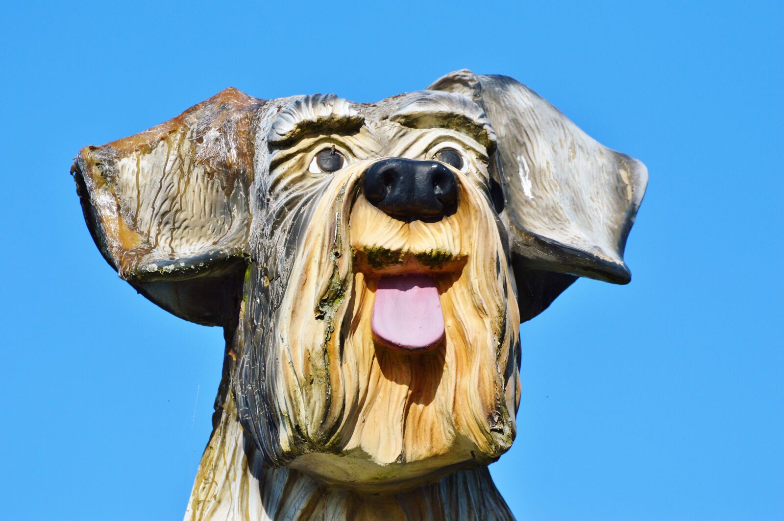 Nikon D3200 sample photo. Wood dog, figure, dog photography