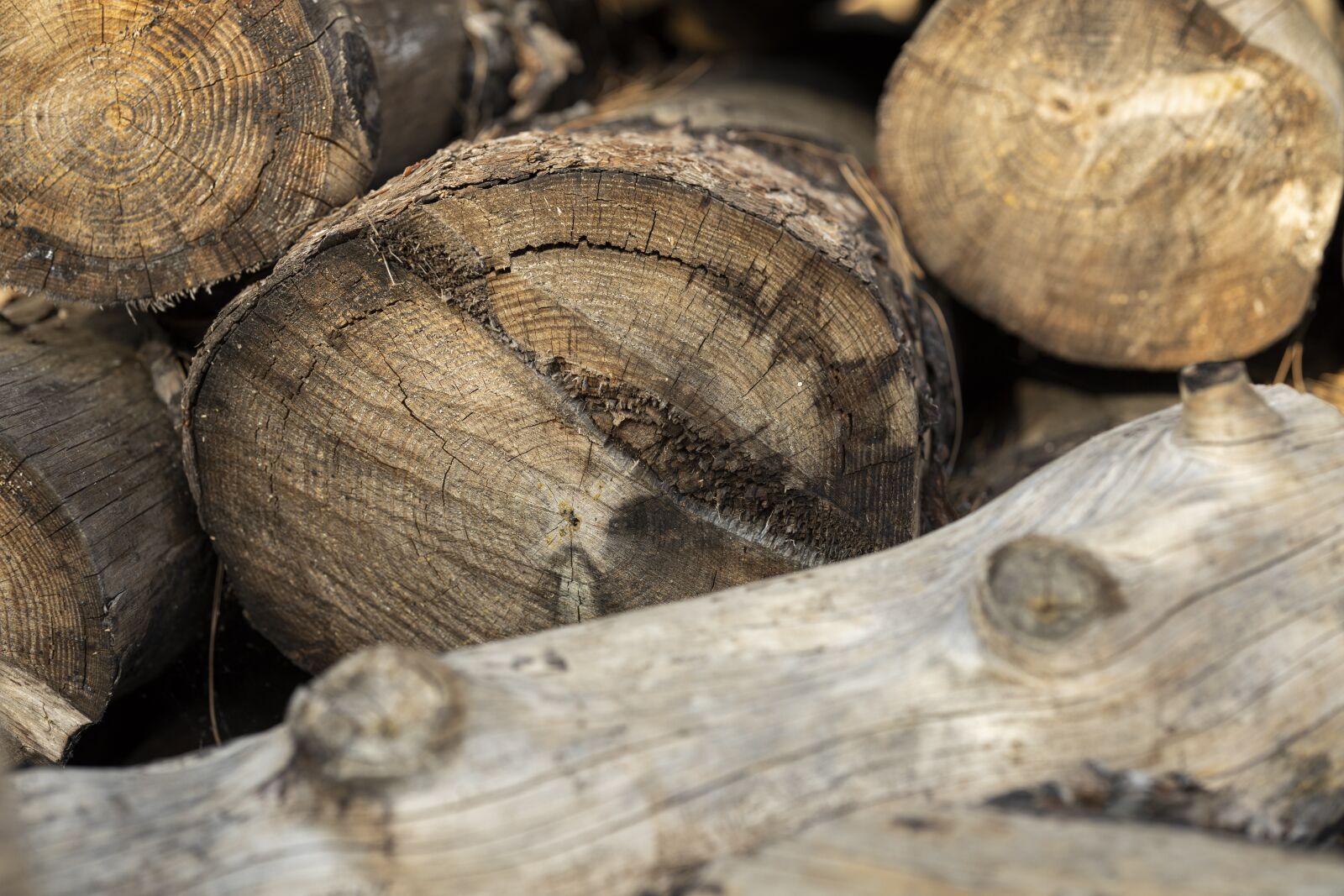 Canon RF 85mm F1.2L USM sample photo. Wood, timber, cutting photography