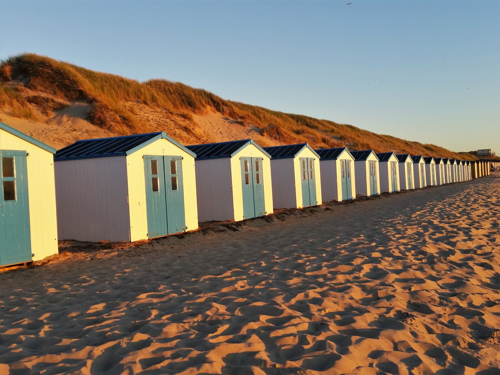 Samsung Galaxy S5 sample photo. Beach houses, abendstimmung, texel photography