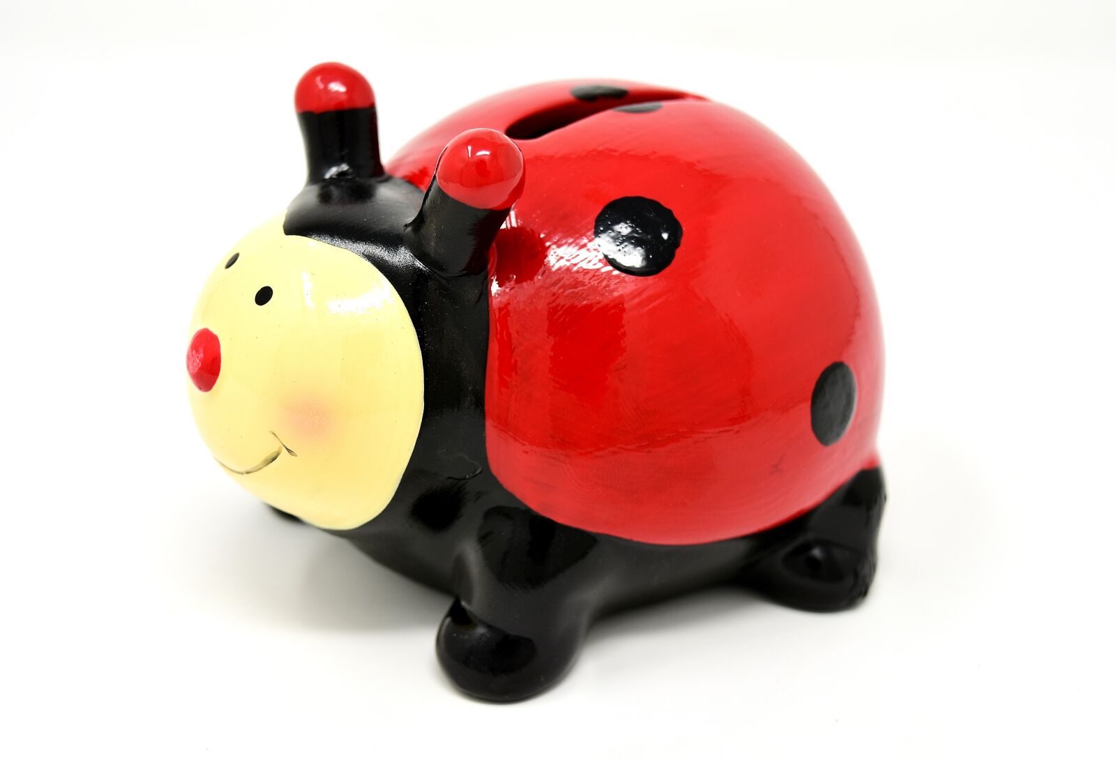 Nikon D7200 sample photo. Ladybug, piggy bank, save photography