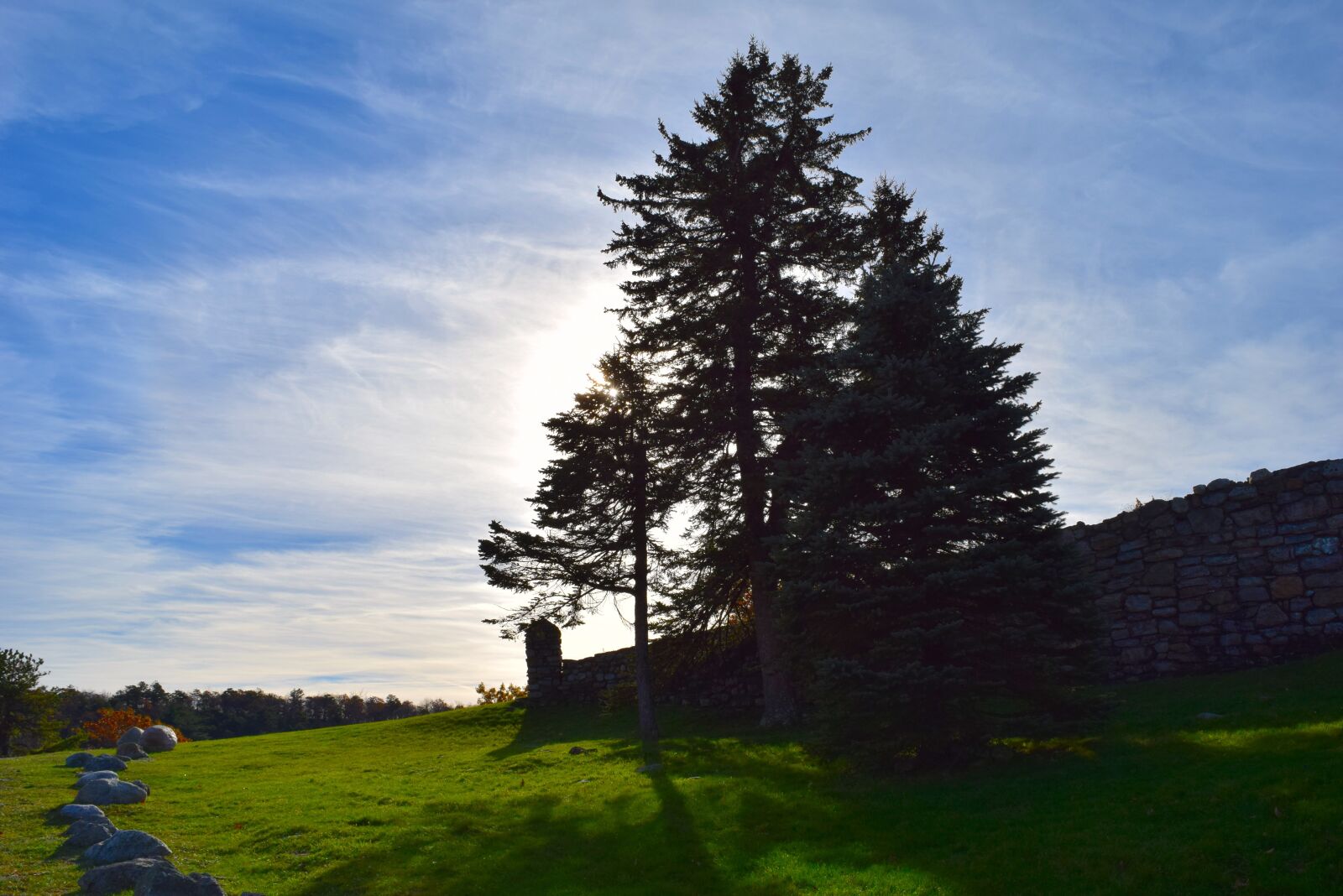 Nikon D3300 sample photo. Landscape, trees, sun photography