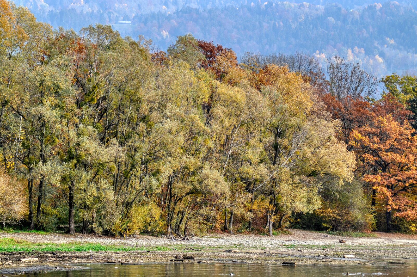Nikon D5000 sample photo. Autumn, bank, lake photography