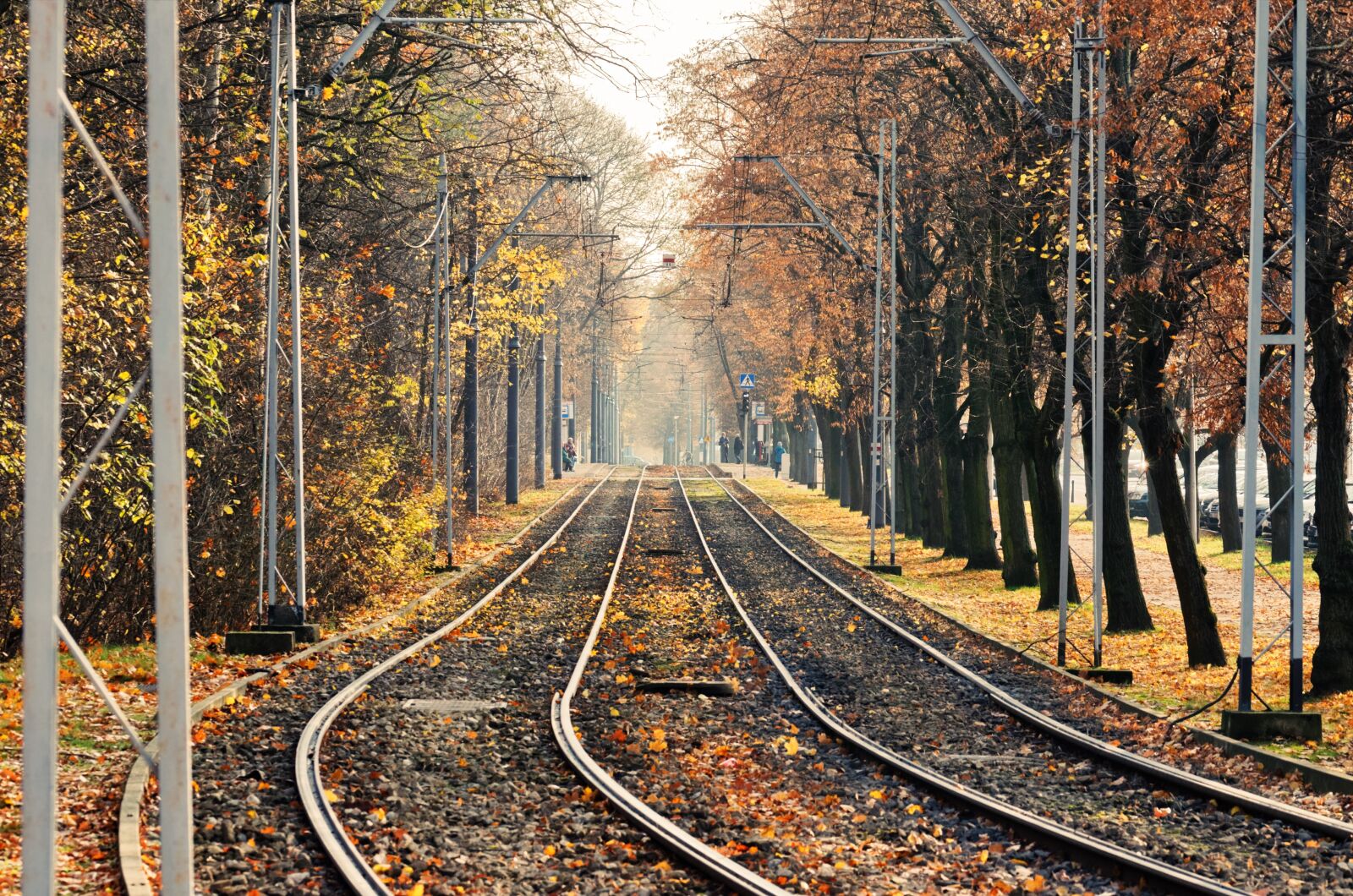 Nikon D5100 sample photo. Landscape, urban, autumn photography