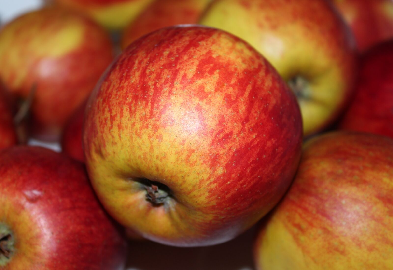 Canon EOS 1200D (EOS Rebel T5 / EOS Kiss X70 / EOS Hi) sample photo. Fruit, apple, eating photography