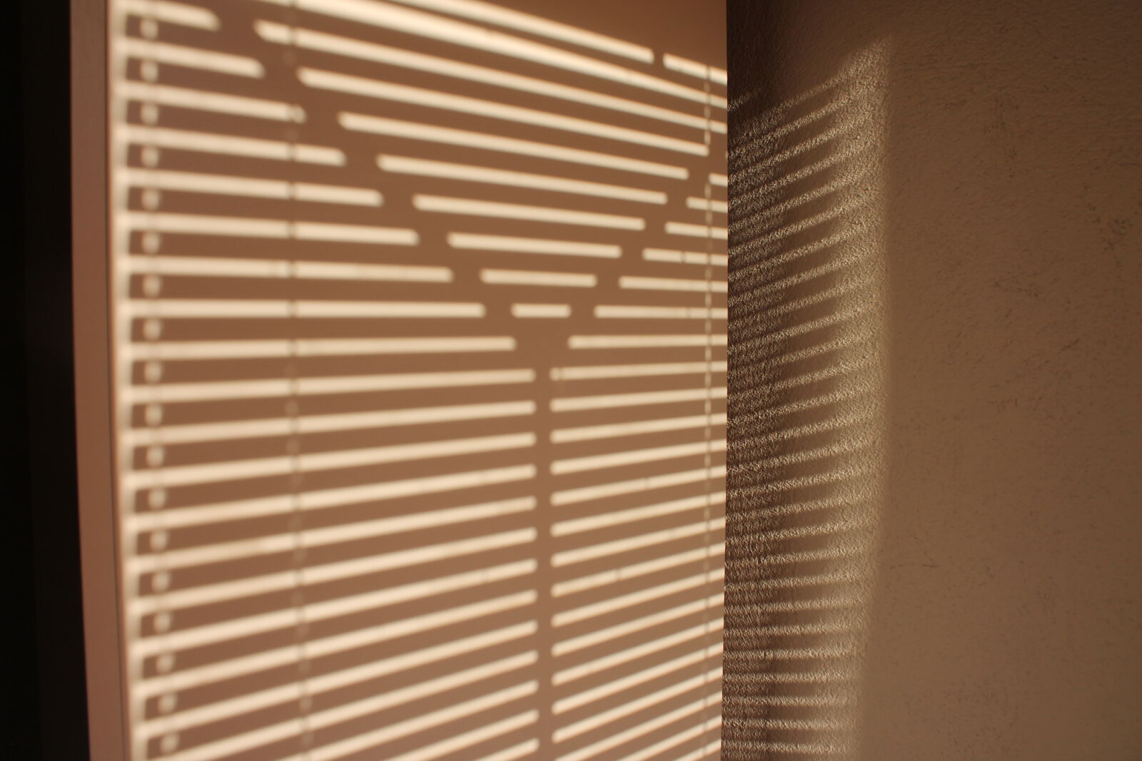 Canon EOS 1100D (EOS Rebel T3 / EOS Kiss X50) sample photo. Cupboard, shadow, windows photography