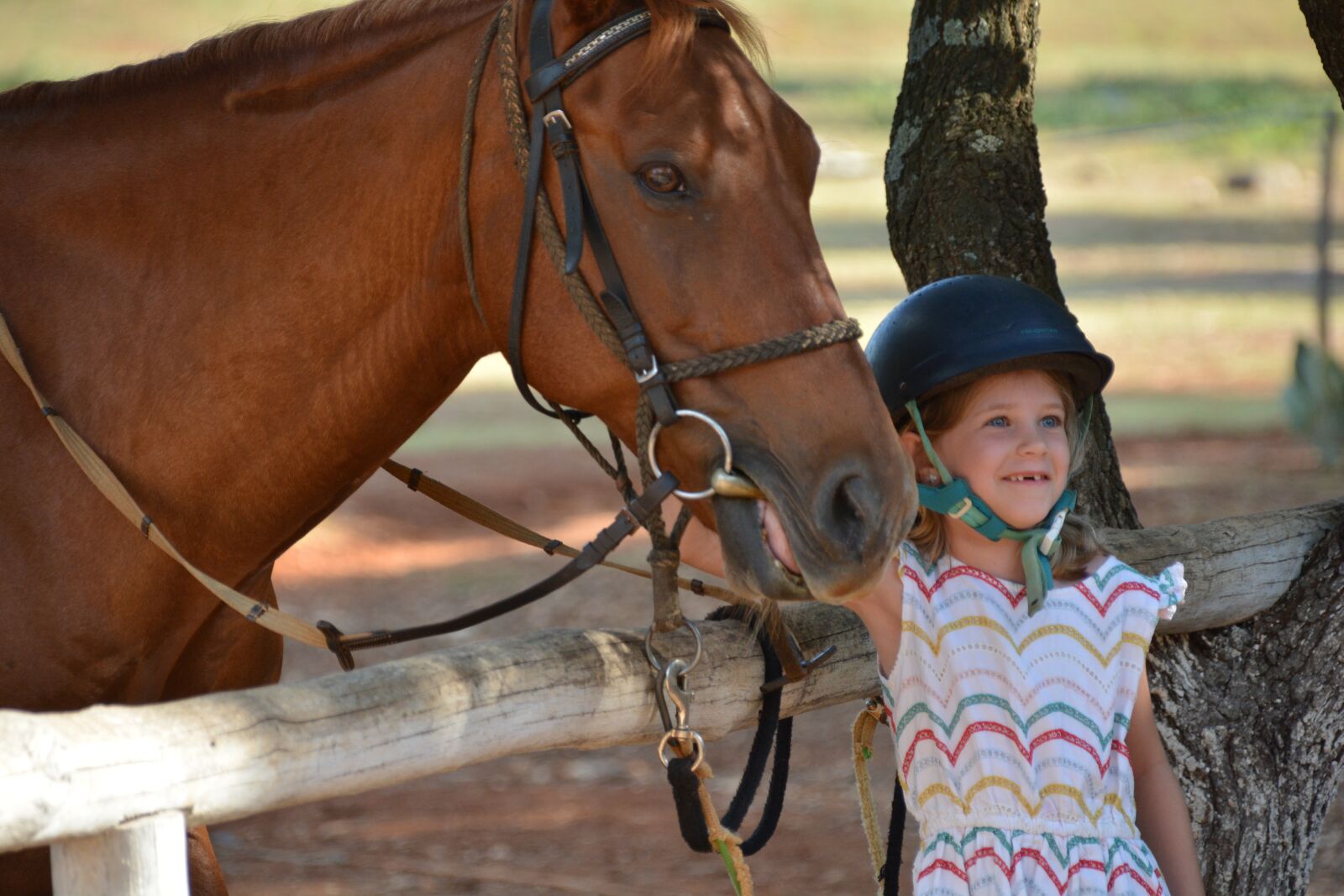Nikon D7100 sample photo. Horse, child, little girl photography