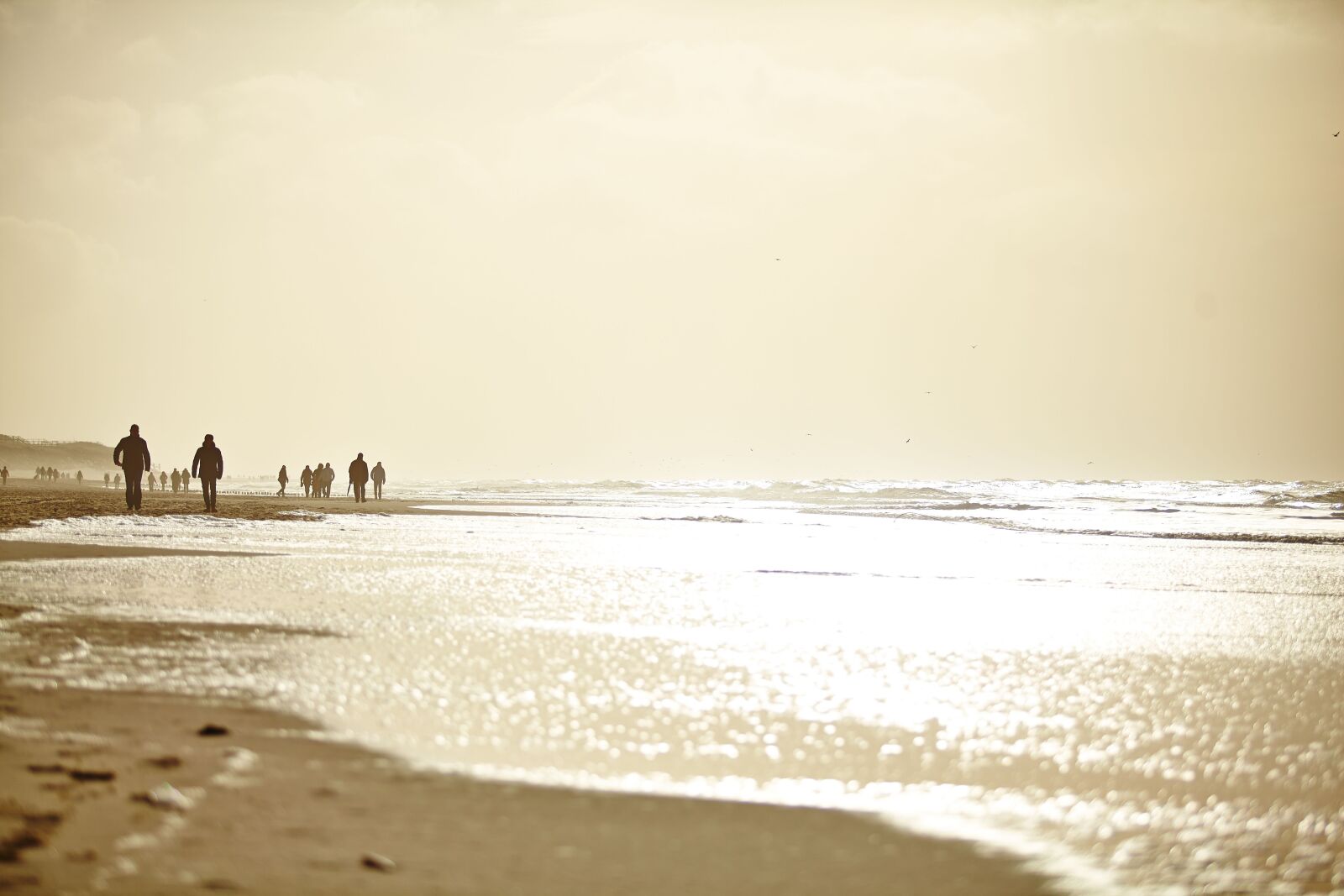 Canon EOS 5D Mark II sample photo. Beach, condition, sylt photography