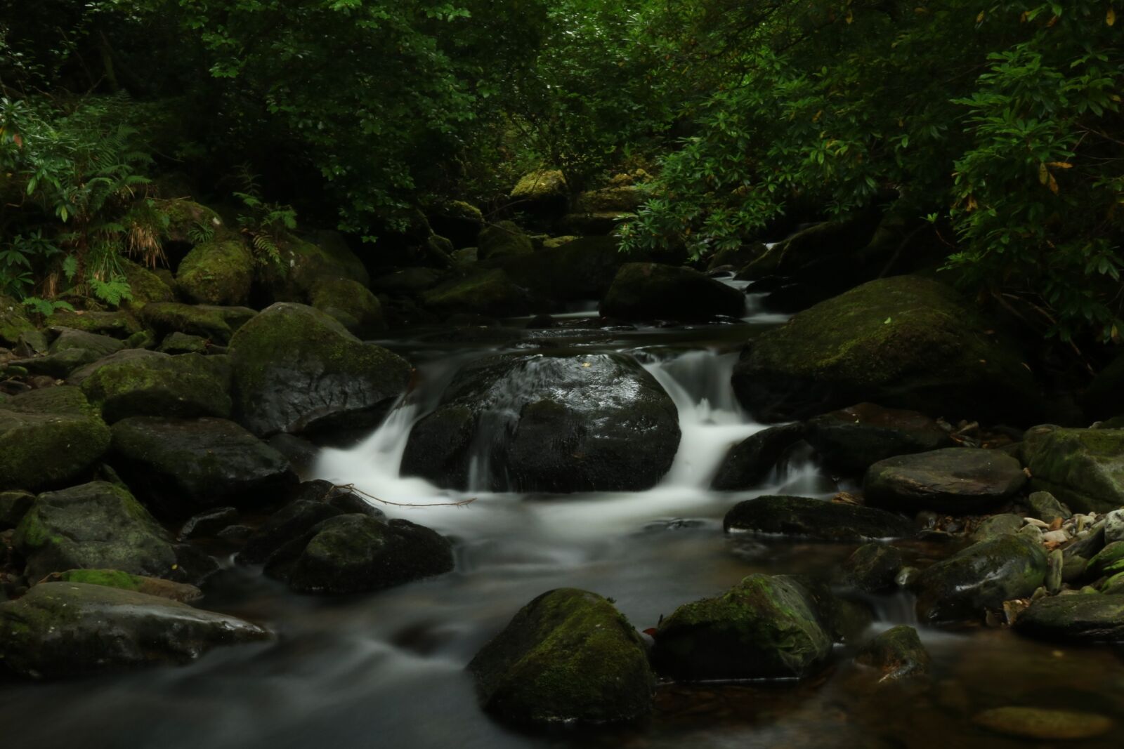 Canon EOS 750D (EOS Rebel T6i / EOS Kiss X8i) sample photo. Watercourse, relaxation, bach photography