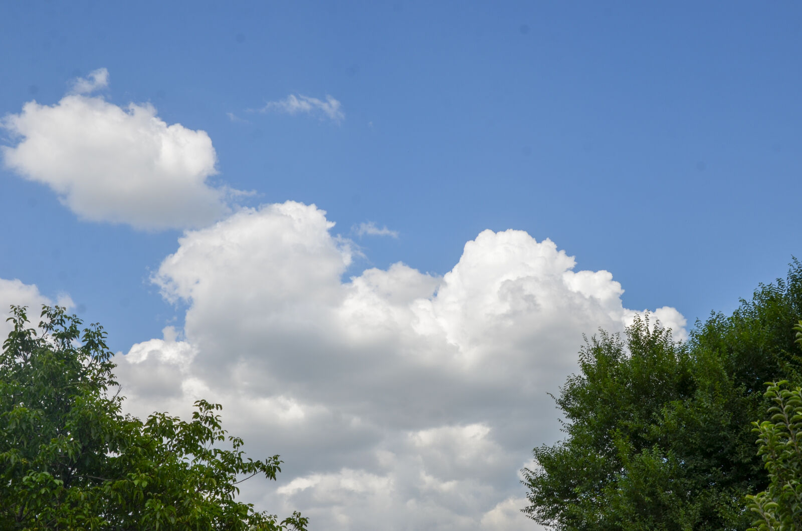 Nikon D7000 sample photo