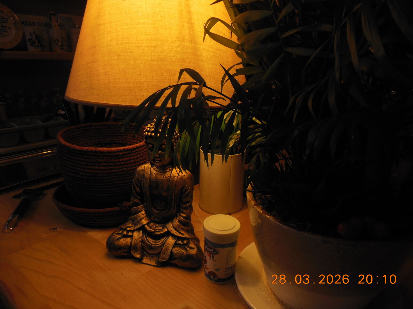 Nikon Coolpix S6300 sample photo