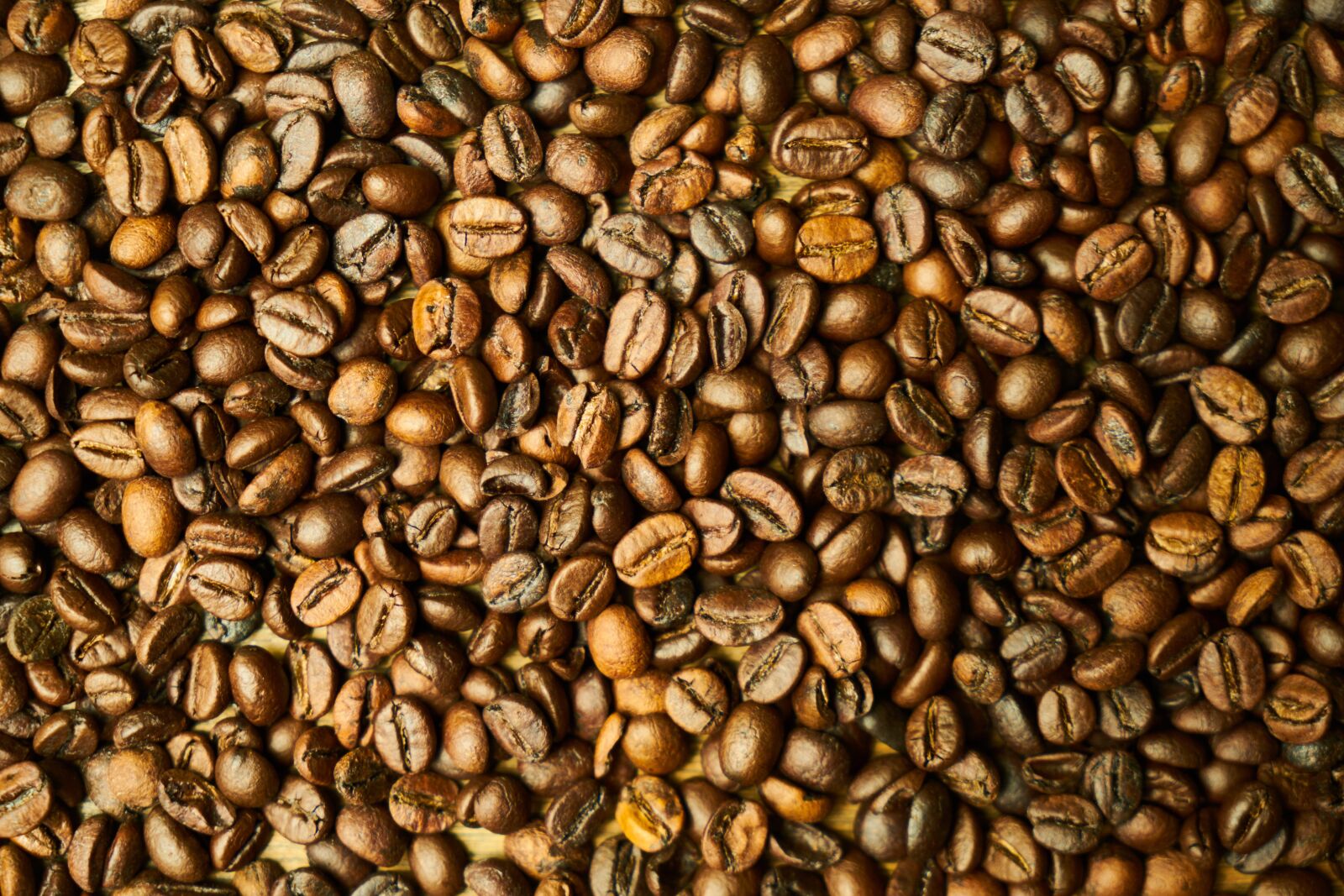 Sony a7R II sample photo. Core, seed, coffee photography
