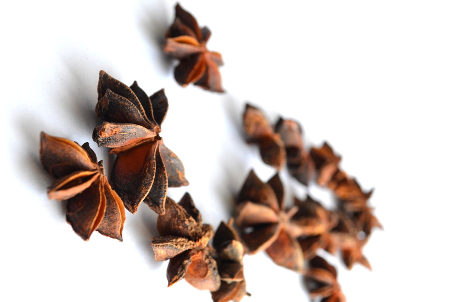 Nikon D5100 sample photo. Spice, anise, food, seed photography