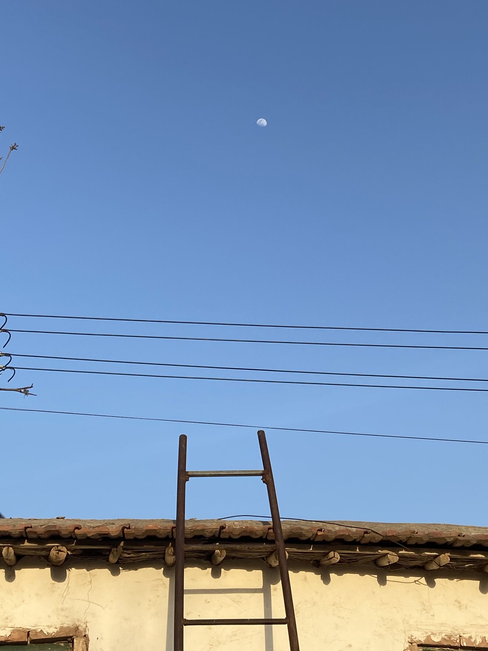 Apple iPhone 11 sample photo. Never ending, in rural photography