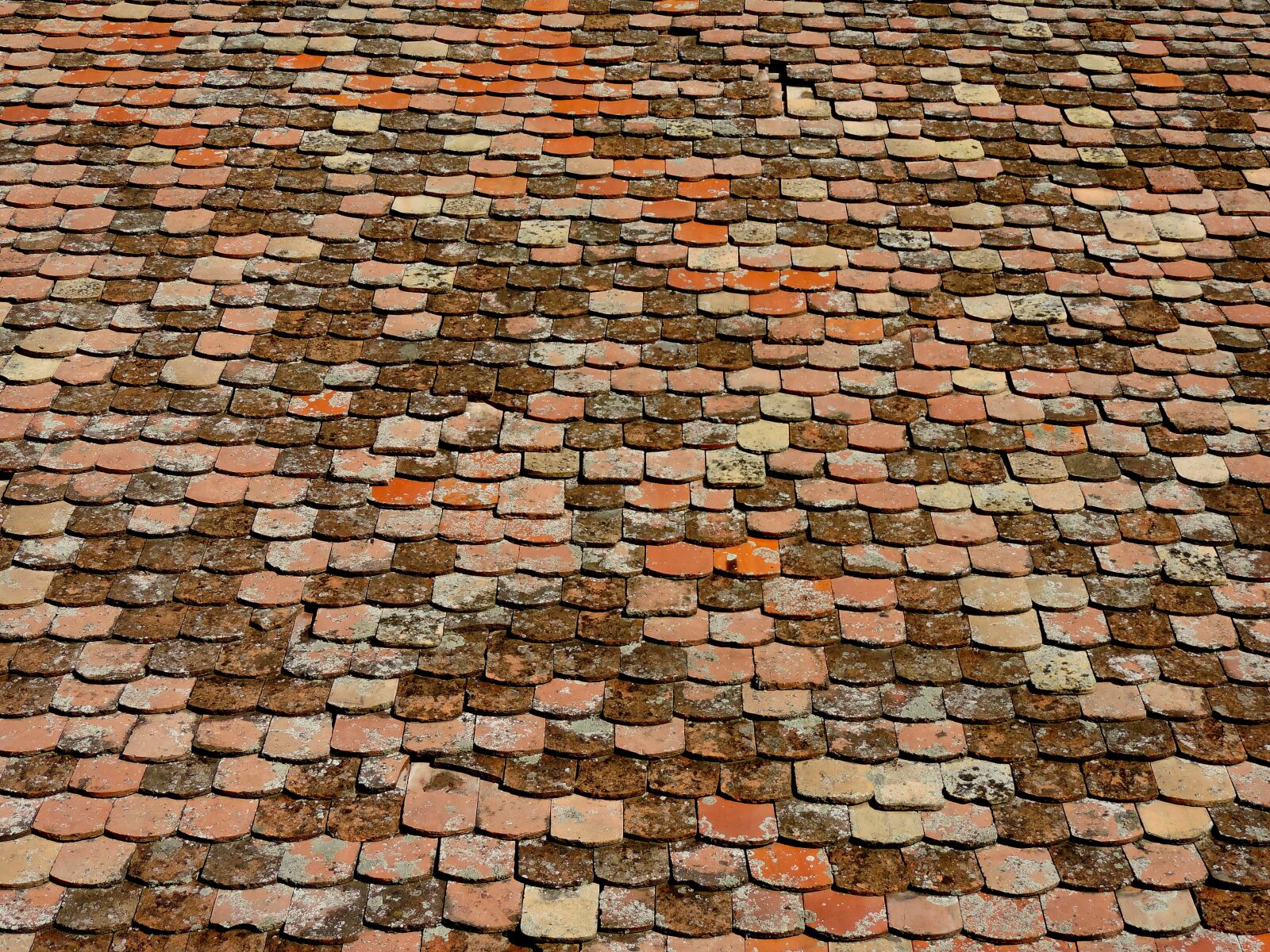 Nikon Coolpix P520 sample photo. Surface, old, texture, pattern photography