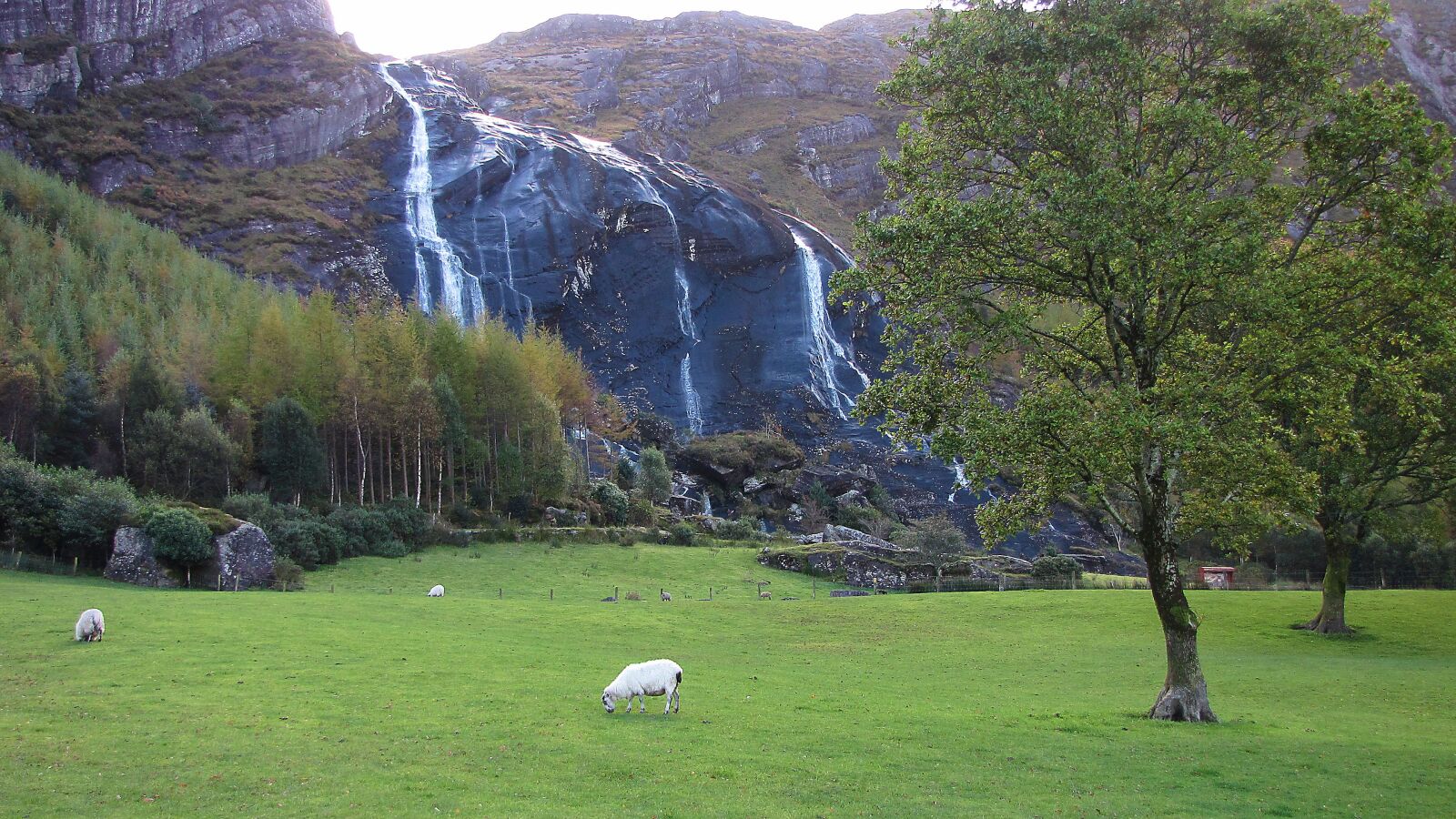 Canon PowerShot SX1 IS sample photo. Waterfall, sheep, landscape photography