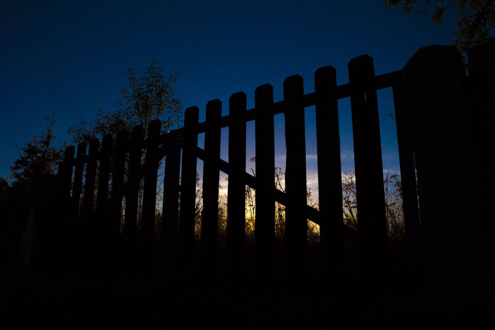 Canon EOS 60D sample photo. Cancels, against light, eventide photography