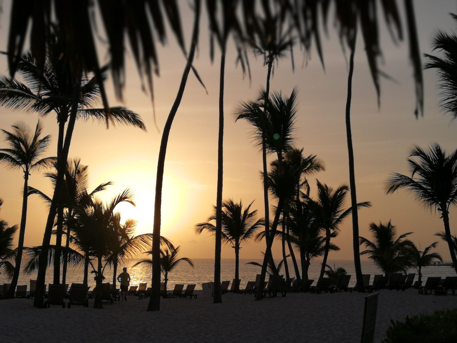 HUAWEI P10 Plus sample photo. Tropical, vacation, sunset photography