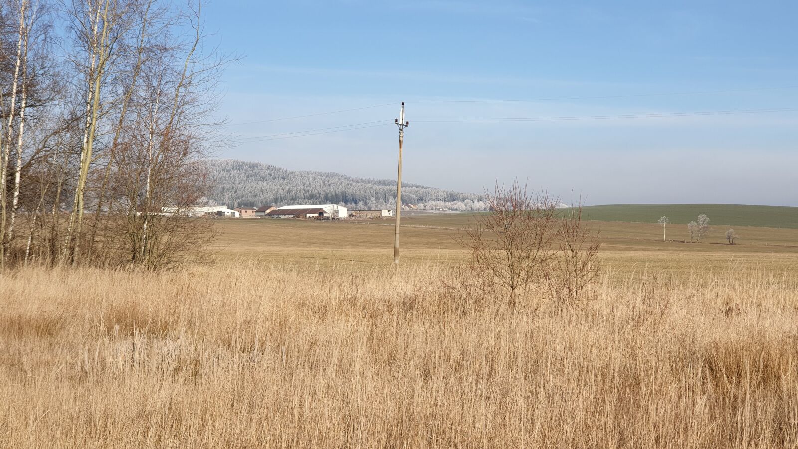 Samsung Galaxy Note9 sample photo. Winter, strašice, land photography
