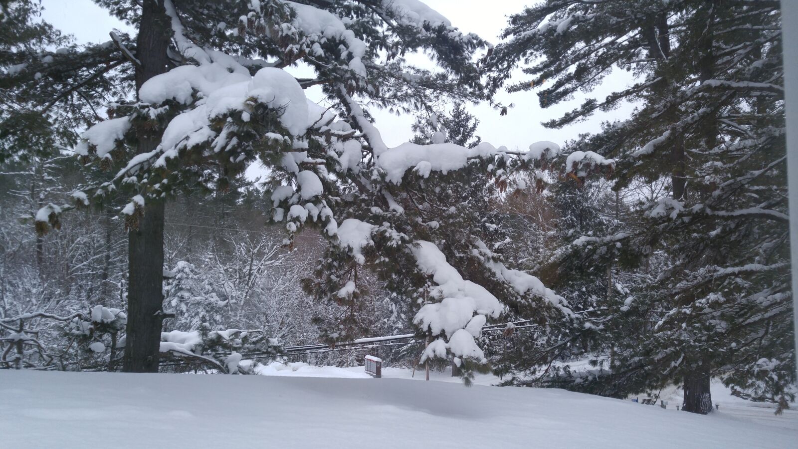 LG G4 sample photo. Snow, winter, cold photography