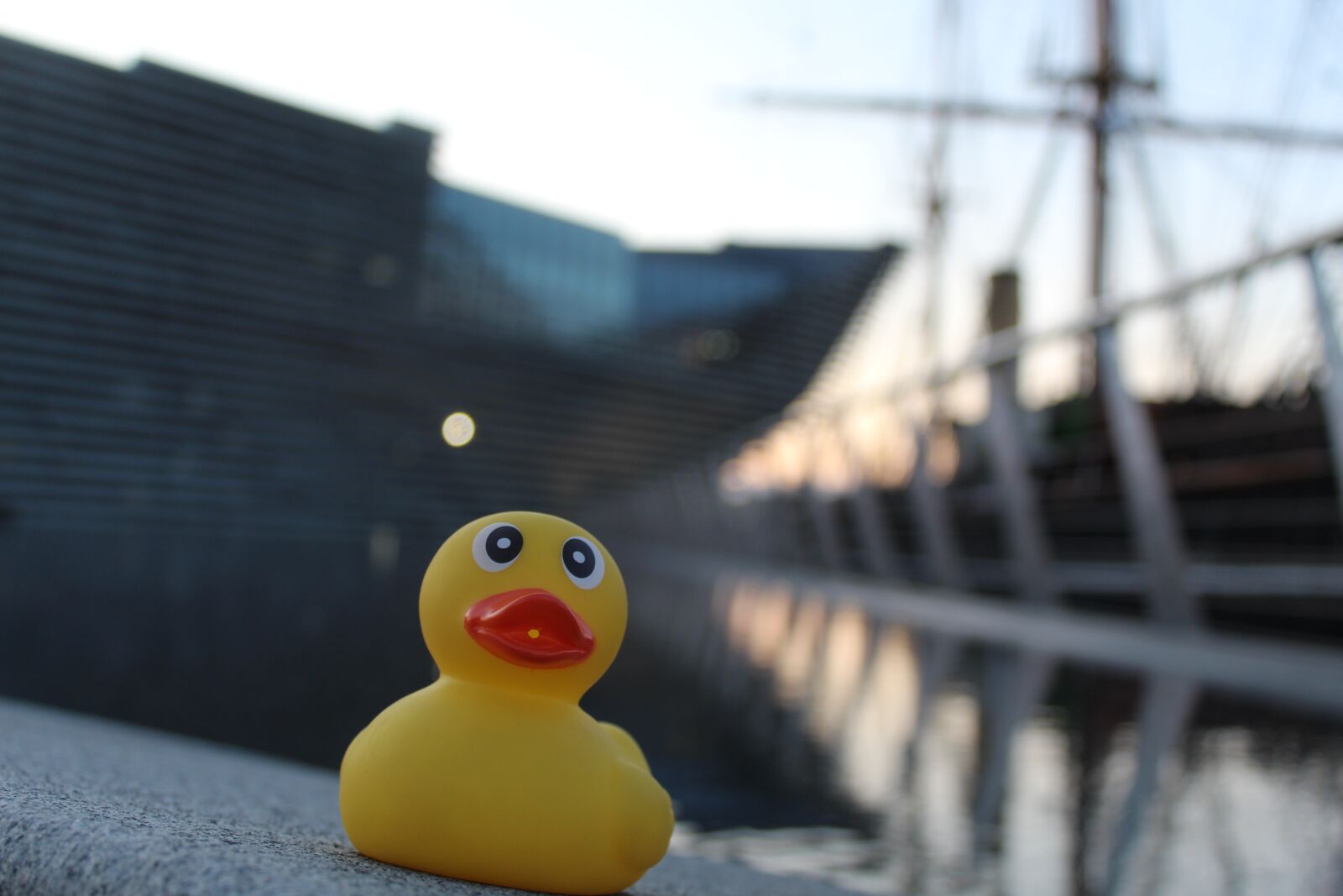 Canon EOS 4000D (EOS Rebel T100 / EOS 3000D) sample photo. Rubber duck, dundee, scotland photography