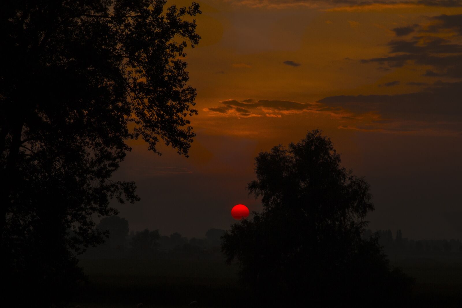 Canon EOS 6D + Canon EF 24-105mm F4L IS USM sample photo. Sunset, nature, landscape photography