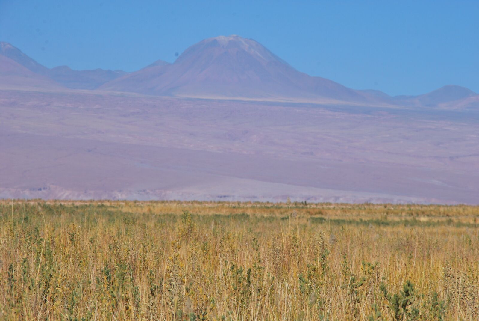 Nikon D60 sample photo. Desert, atacama, dry photography