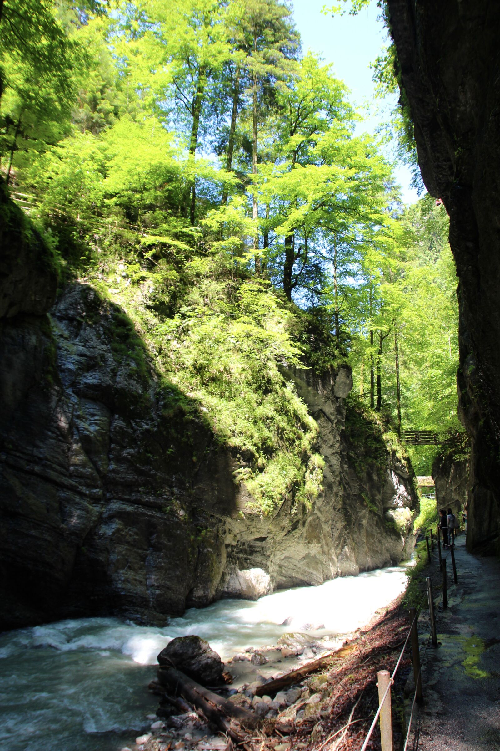 Canon EOS 600D (Rebel EOS T3i / EOS Kiss X5) sample photo. Rapids, current, river photography