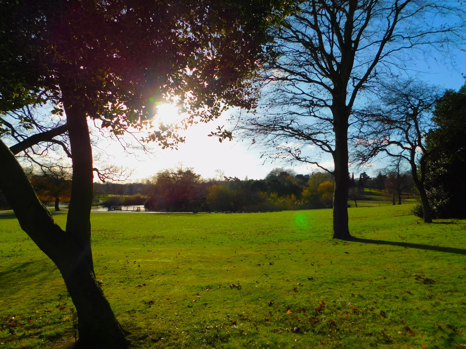 Nikon Coolpix B500 sample photo. Autumn, nature, park, park photography