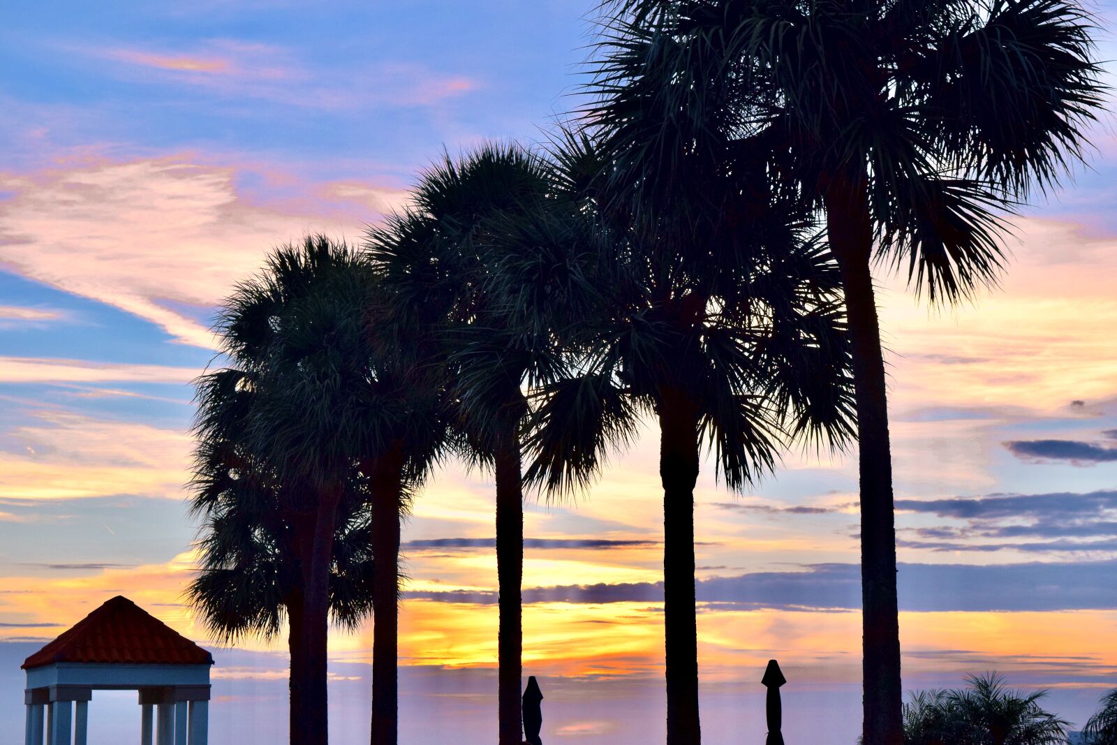 Nikon D5300 sample photo. Sunset, palm, tree photography
