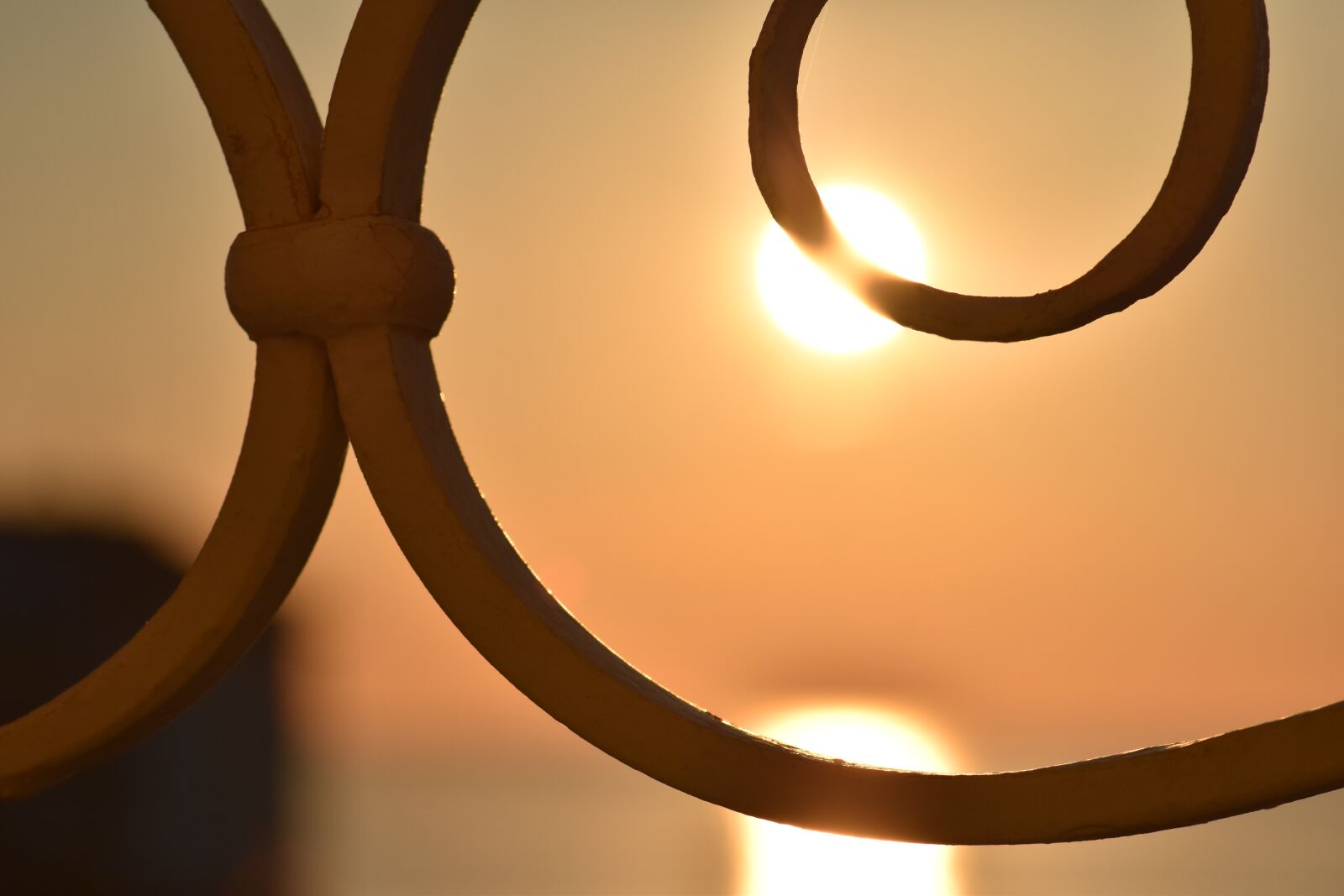 Nikon D5500 sample photo. Sunrise, morning, sun photography