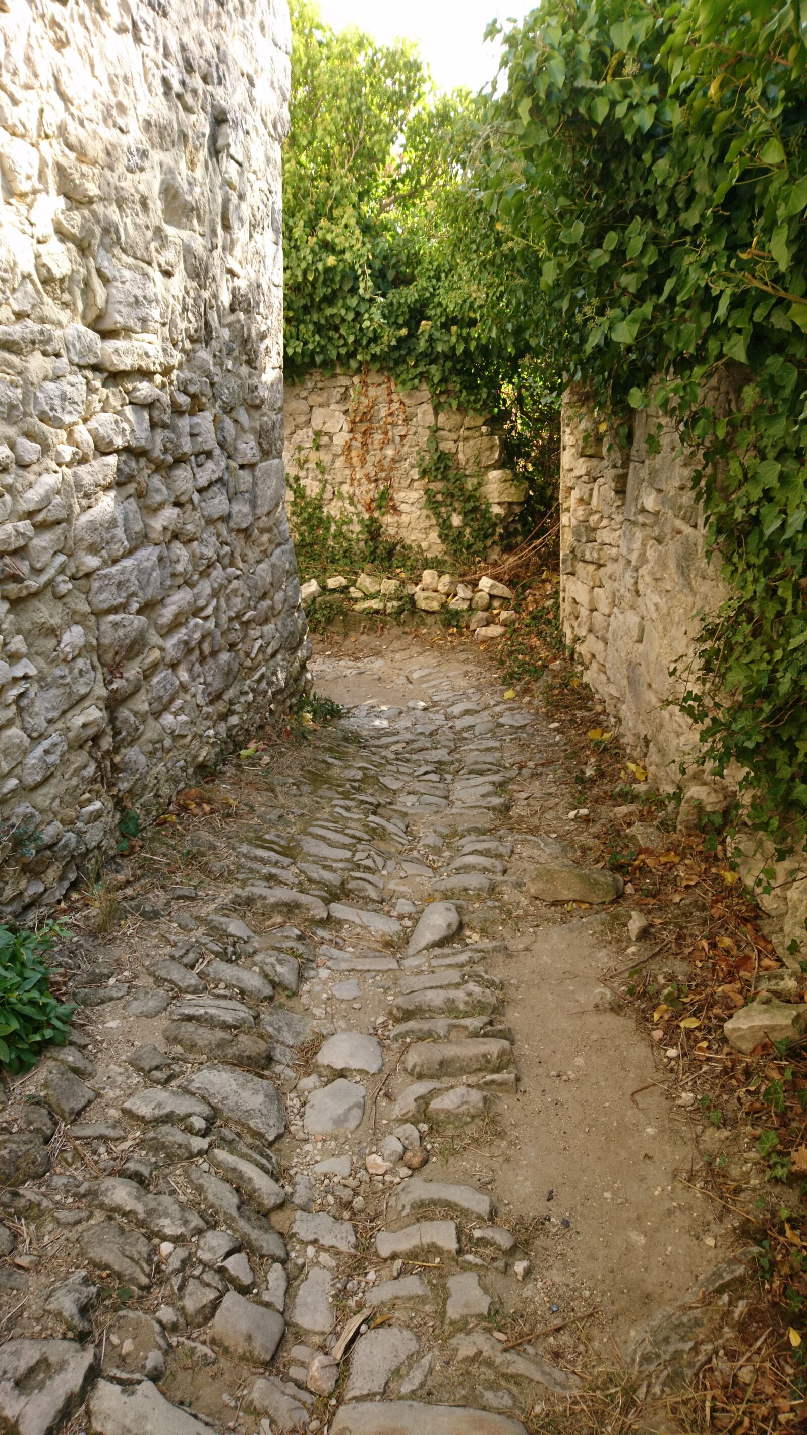 Sony Xperia X Compact sample photo. Away, path, alley photography