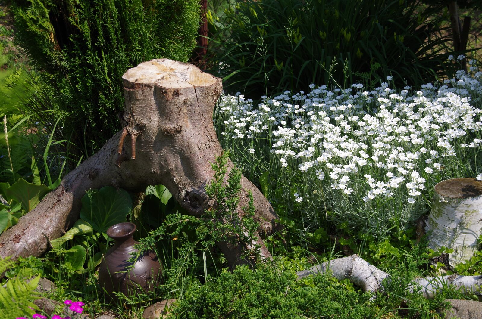 Pentax K-50 sample photo. Nature, trunk, jug photography