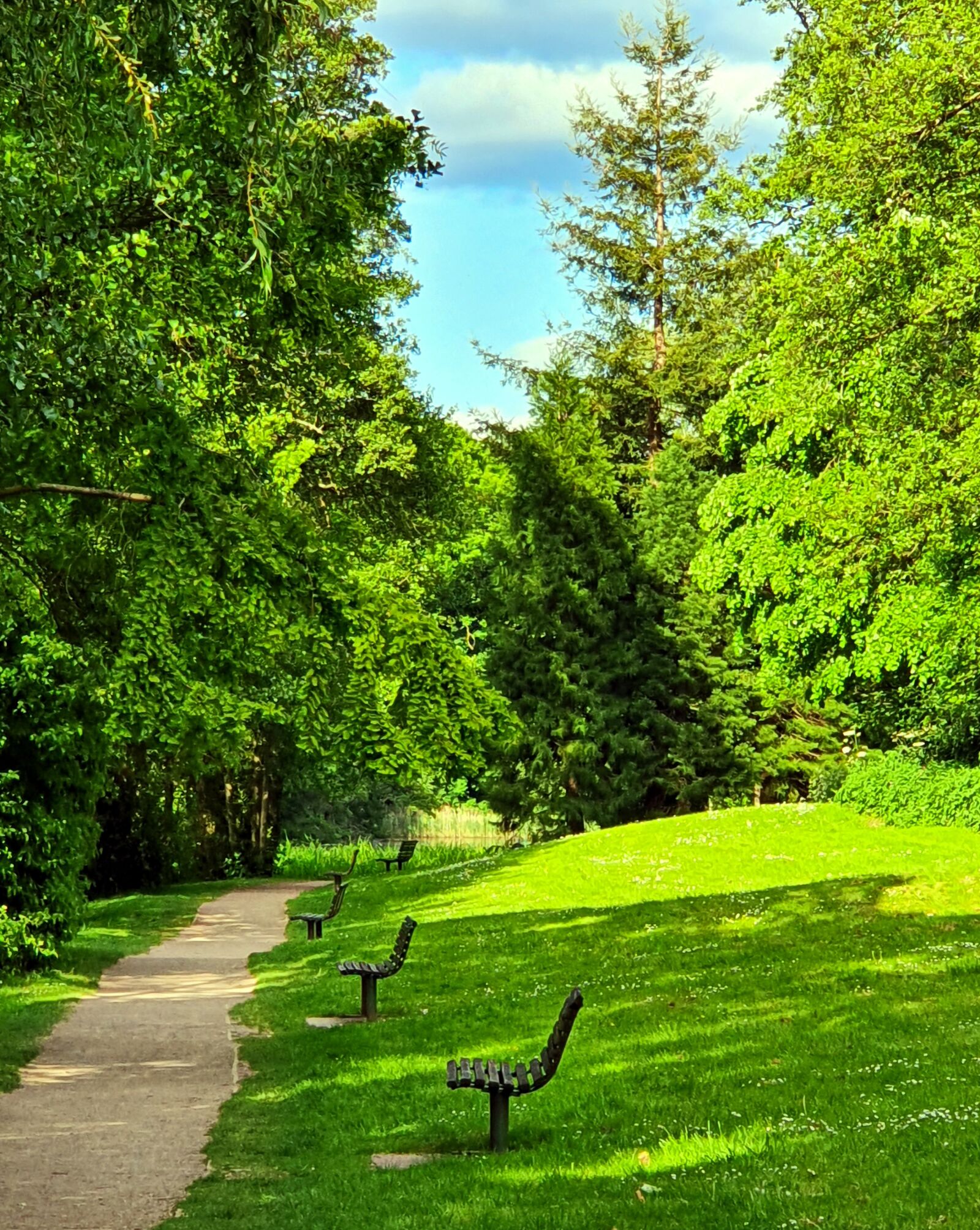 Samsung Galaxy S10 sample photo. Loneliness, park, nature photography