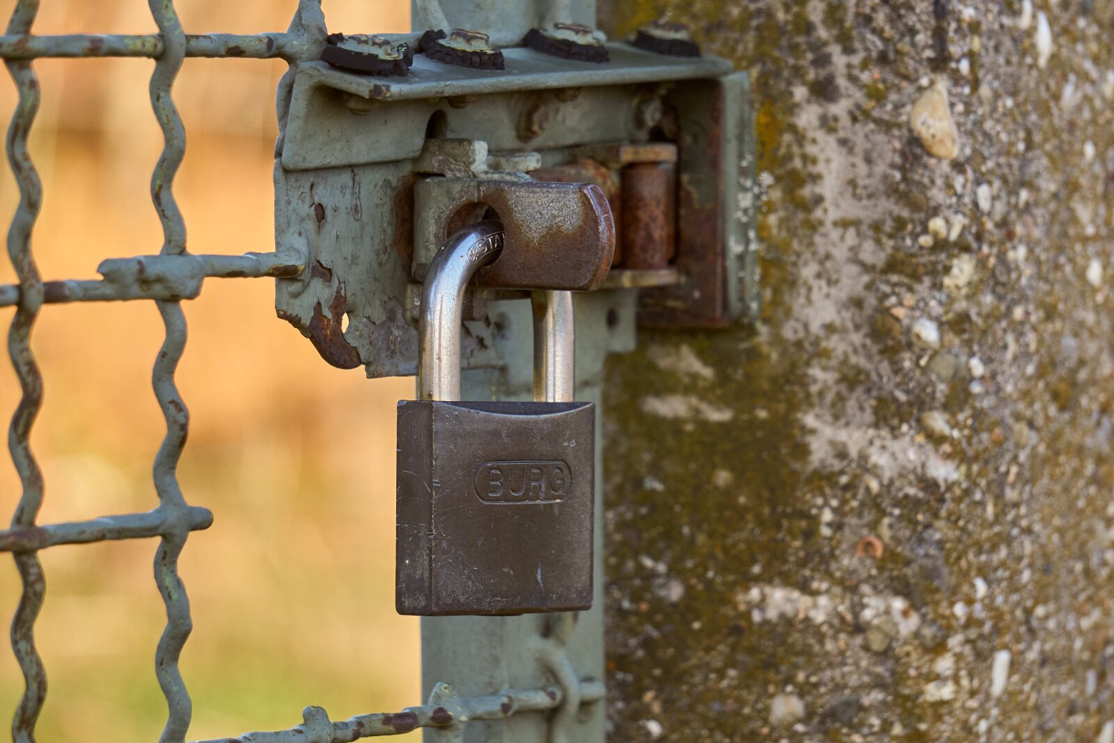 Sony E 55-210mm F4.5-6.3 OSS sample photo. Castle, padlock, closed photography