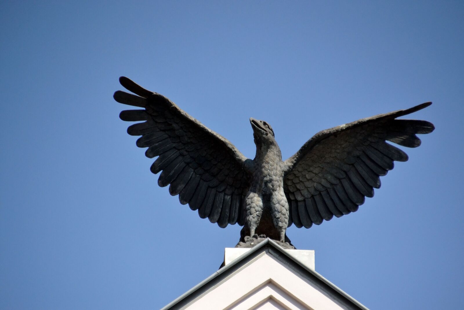 Nikon D3100 sample photo. Rostock, adler, roof photography