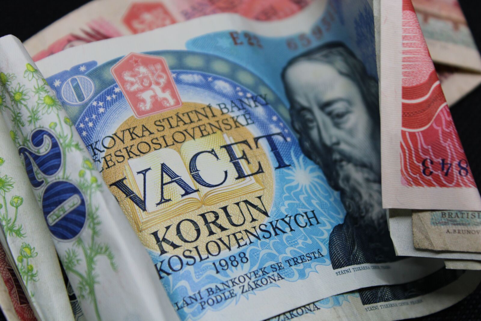 Canon EOS 2000D (EOS Rebel T7 / EOS Kiss X90 / EOS 1500D) sample photo. Money, czech republic, crowns photography