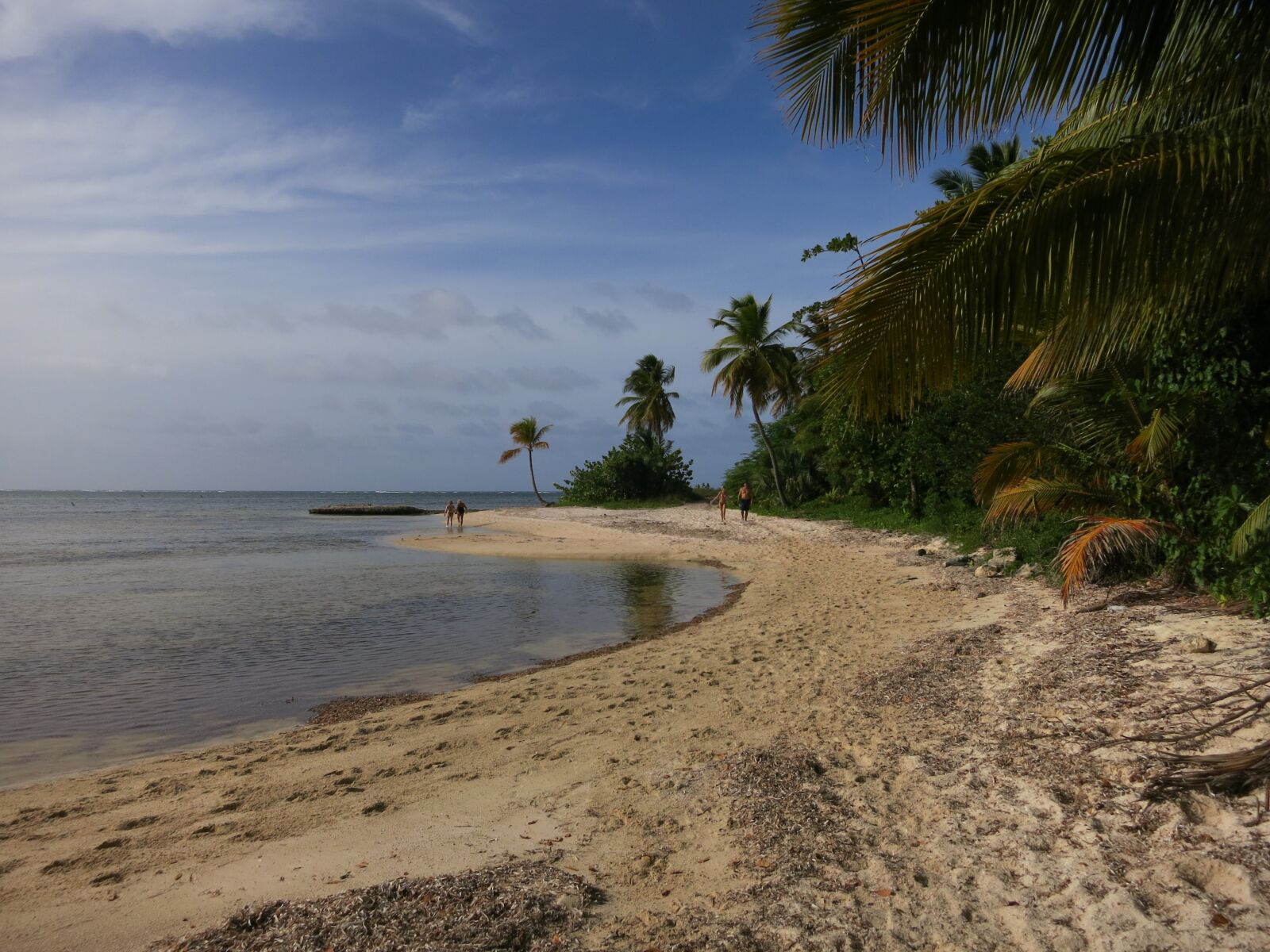 Canon PowerShot S110 sample photo. Beach, palm trees, caribbean photography