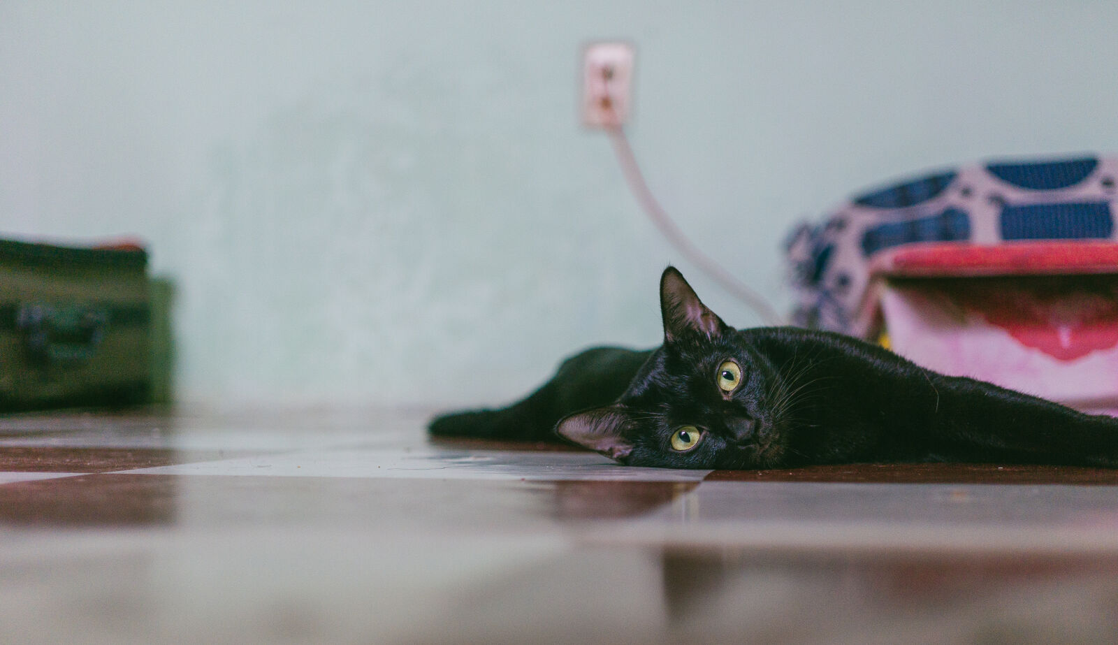 E 32mm F1.8 sample photo