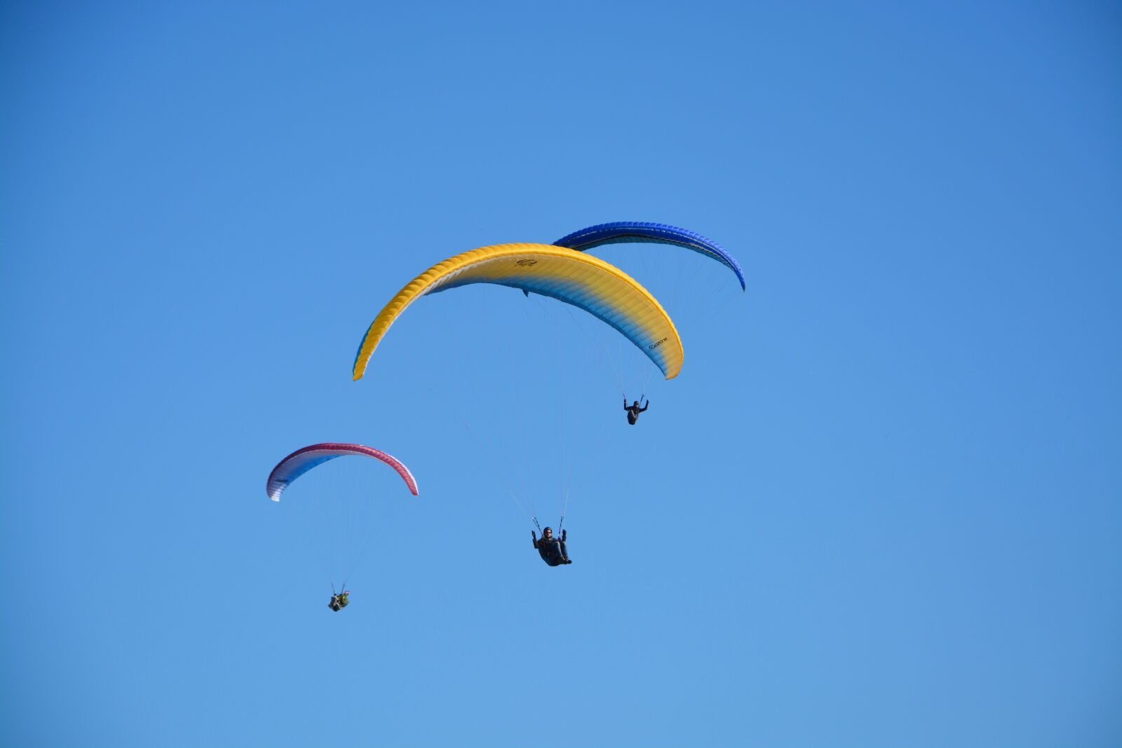 Nikon D5200 sample photo. Paragliders paragliders, aircraft, blue photography