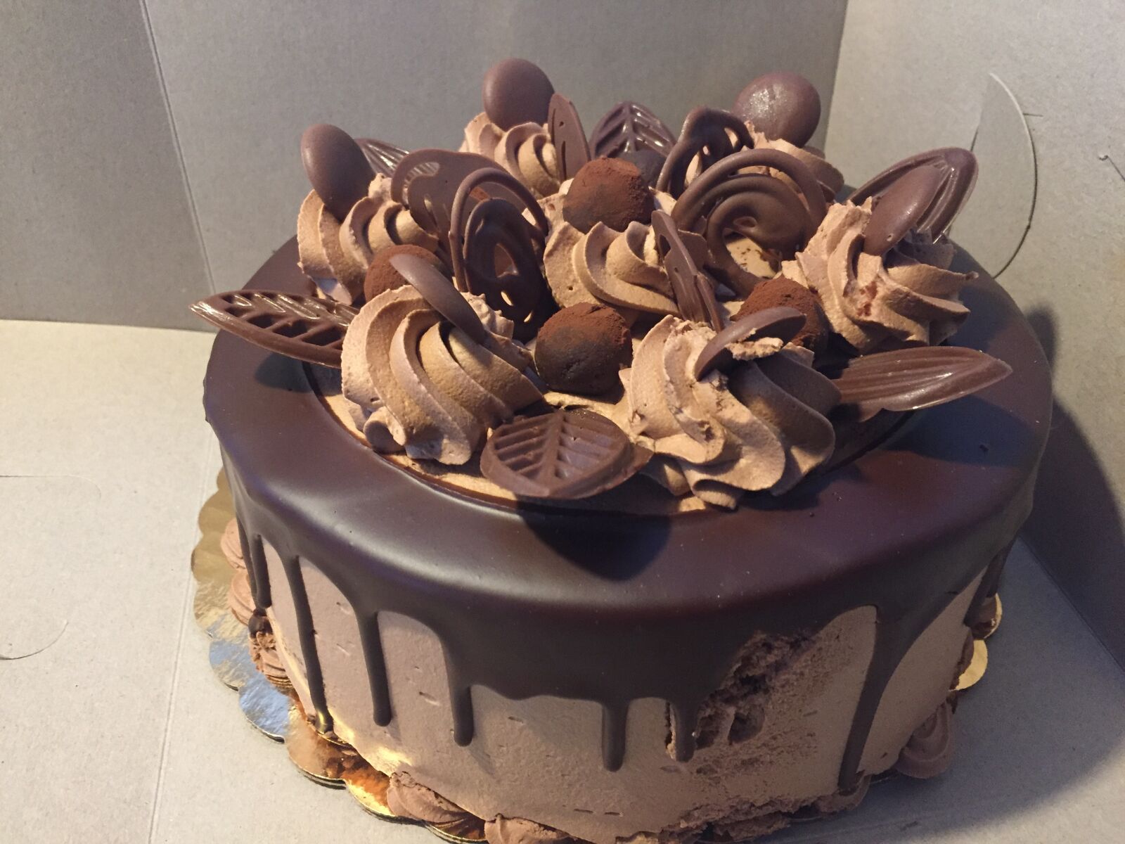 iPhone 6 back camera 4.15mm f/2.2 sample photo. Chocolate cake, round, fudge photography