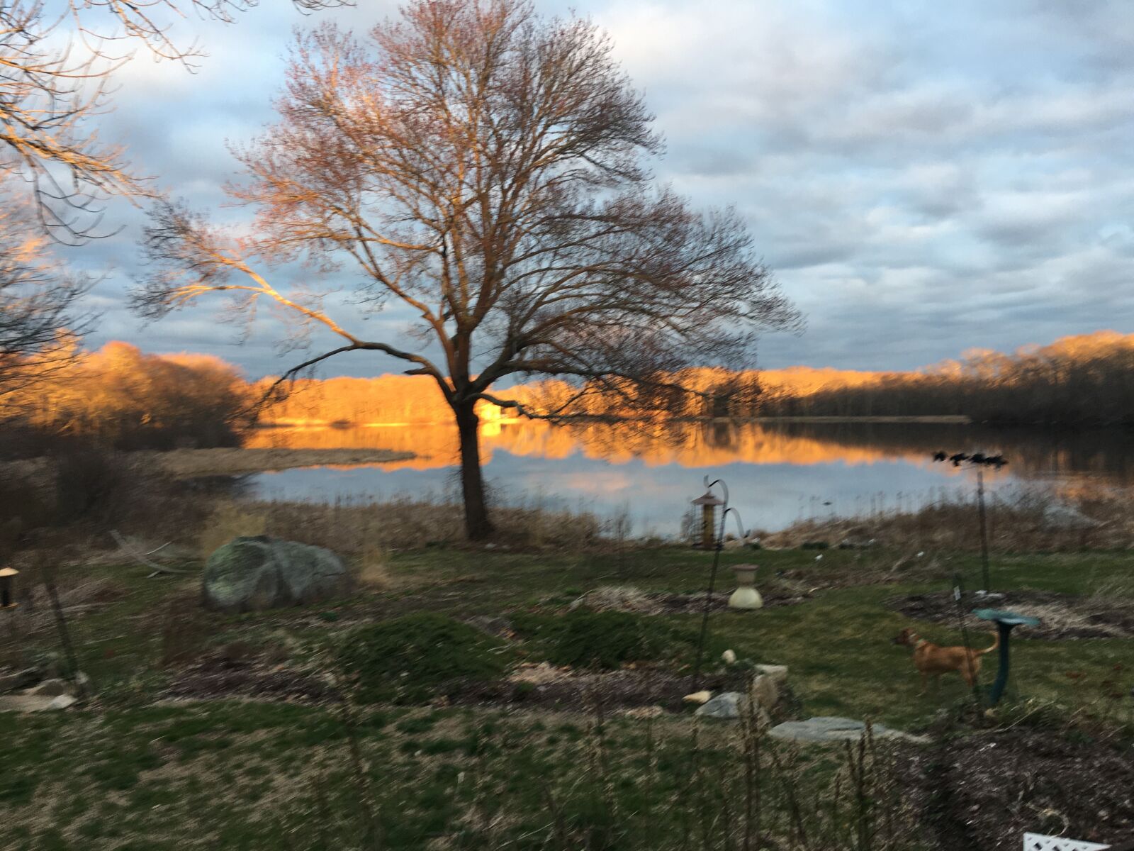iPhone 6s Plus back camera 4.15mm f/2.2 sample photo. Sunrise, pond, landscape photography