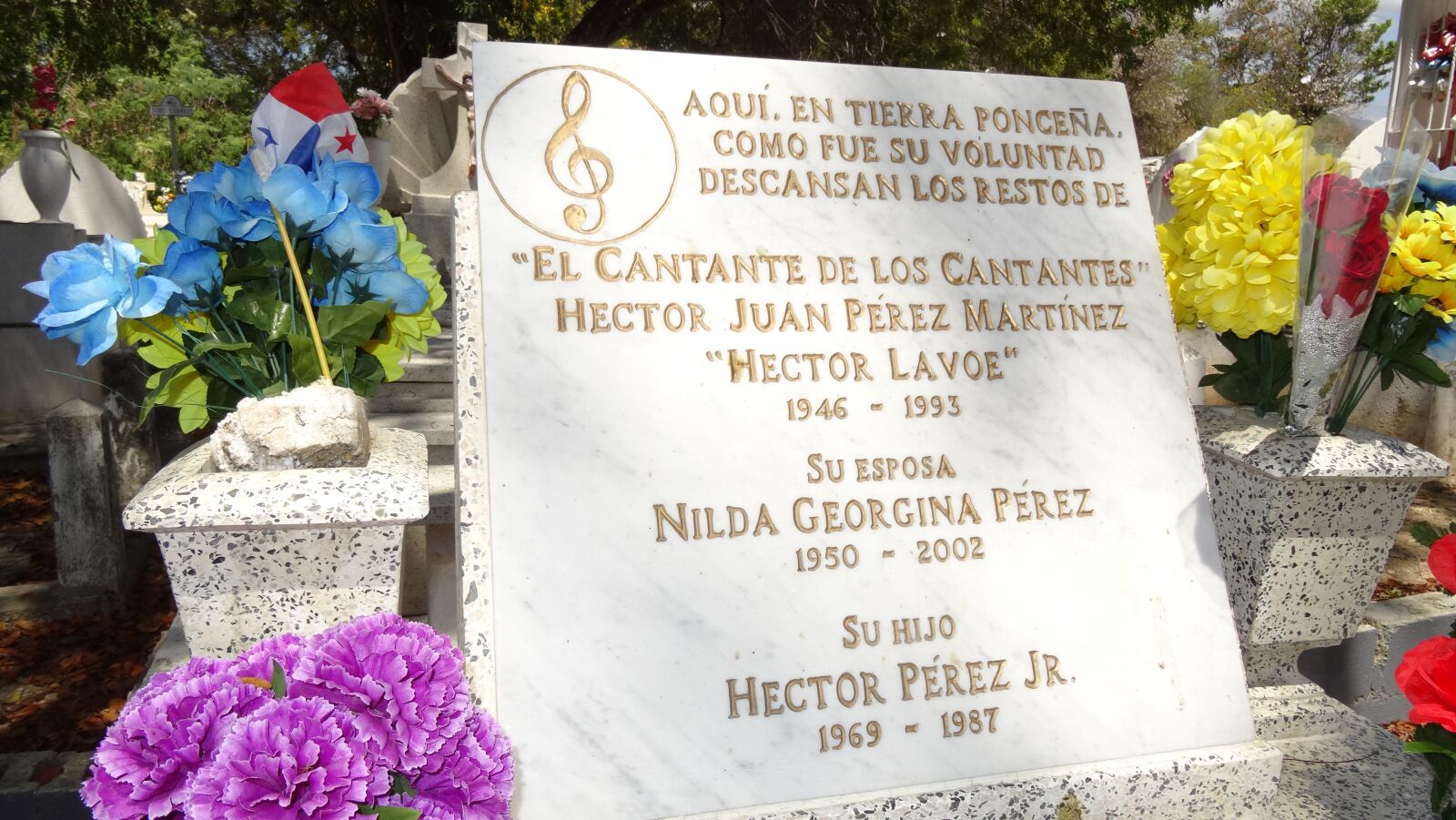Sony Cyber-shot DSC-HX50V sample photo. Tomb, hector lavoe, pantheon photography