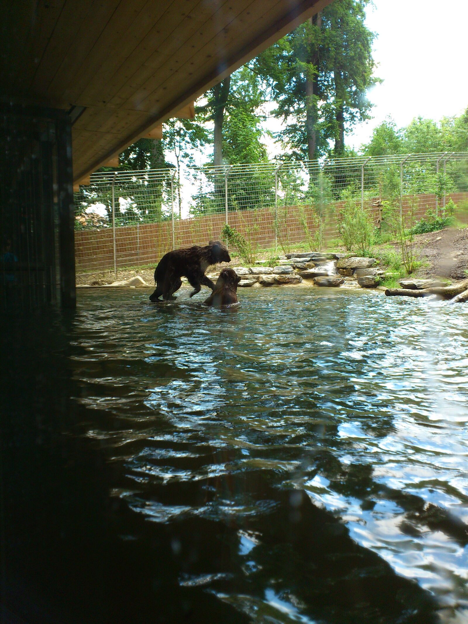 Sony Ericsson Xperia Arc sample photo. Bear, zoo, brown bear photography