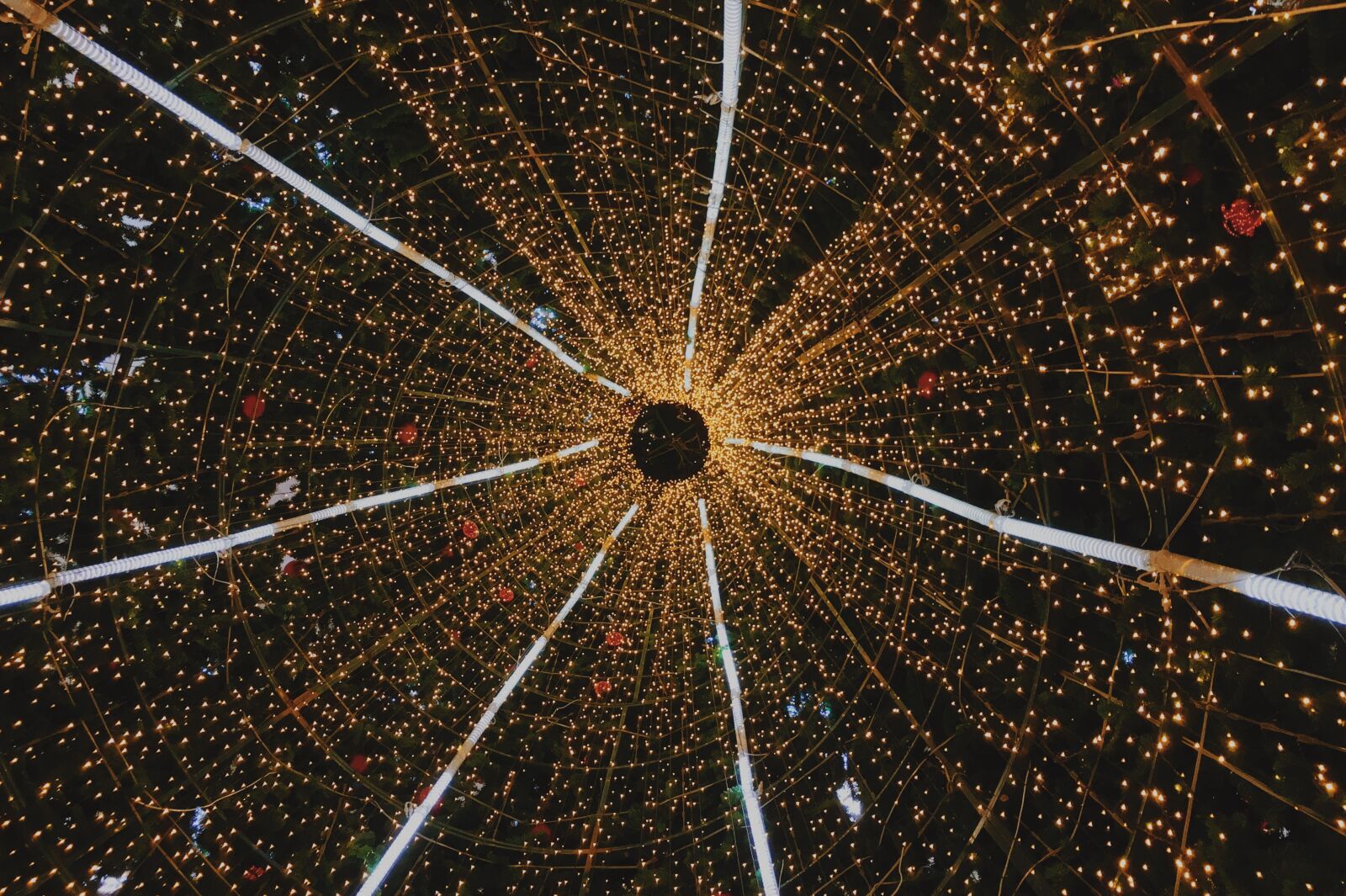 Apple iPhone 6s sample photo. Christmas, flanjks, holiday, light photography